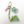 Load image into Gallery viewer, Map of Koh Lipe