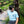 Load image into Gallery viewer, เสื้อยืด My Journey to Koh Lipe