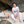 Load image into Gallery viewer, Tank top Coral in Whale Shark
