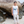Load image into Gallery viewer, Tank top Coral in Whale Shark
