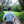 Load image into Gallery viewer, เสื้อยืด My Journey to Koh Lipe