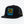 Load image into Gallery viewer, CAP SEASICK(Black)