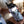 Load image into Gallery viewer, กระบอกน้ำ Water bottle vacuum 32 oz: SEASICK