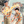 Load image into Gallery viewer, เสื้อฮาวาย