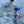 Load image into Gallery viewer, Whale shark No.3