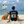 Load image into Gallery viewer, WHALE SHARK T-SHIRT - BLACK