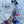 Load image into Gallery viewer, Whale Shark No.2