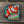 Load image into Gallery viewer, Magnet Nemo