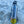 Load image into Gallery viewer, Yellow Boxfish