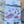 Load image into Gallery viewer, Postcard Whale Shark at 8 mile_12