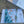 Load image into Gallery viewer, Postcard Whale Shark at 8 mile_12