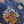 Load image into Gallery viewer, เสื้อแขนกุด SEASICK KOH LIPE
