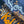 Load image into Gallery viewer, เสื้อแขนกุด SEASICK KOH LIPE