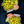 Load image into Gallery viewer, Yellow Boxfish