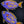 Load image into Gallery viewer, Parrotfish