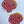 Load image into Gallery viewer, SEA SHELL