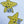 Load image into Gallery viewer, Star Fish