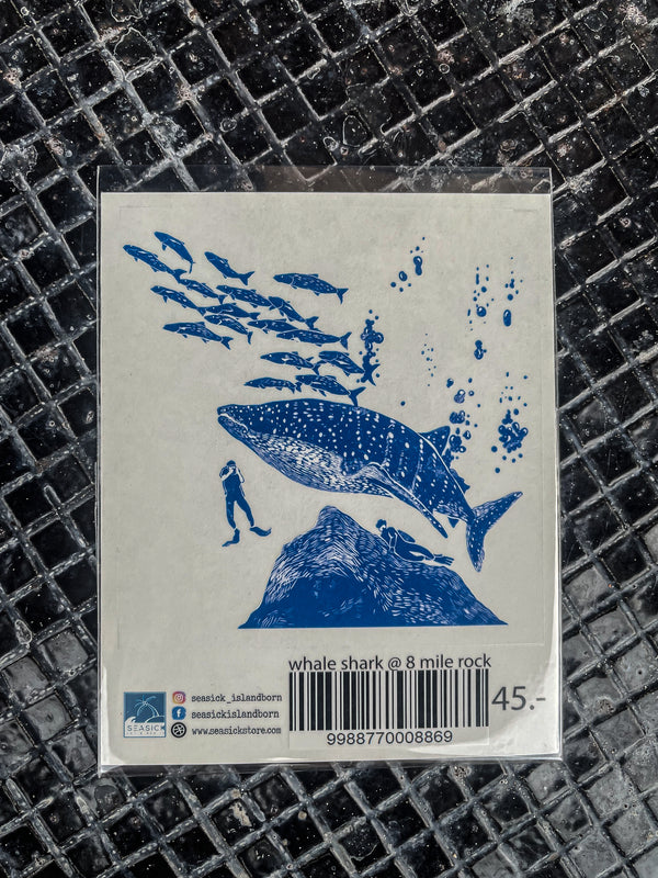 Wale shark@8 mile rock[NO14]
